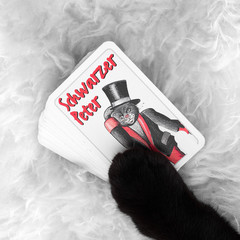 Black cat paw with card deck with a black cat on it - 225094239