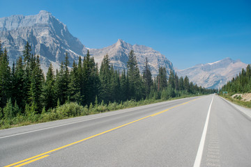 Highway trough the Banff National park, Canada