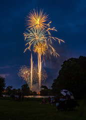 Firework Display, Fourth of July, People Watching from Lawn