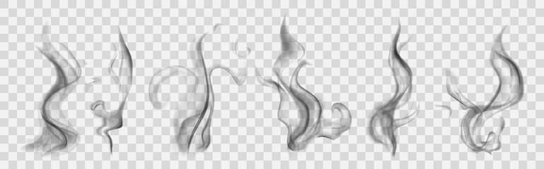 Set of realistic translucent smoke or steam in gray colors, isolated on transparent background. Transparency only in vector format © Olga Moonlight
