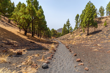 Path along Ruta de los Volcanes, beautiful hiking path over the volcanoes, La Palma, Canary Islands