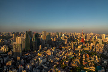 Tokyo skyline at golden hour