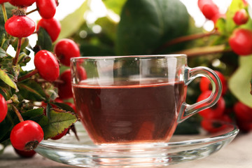 Tea. cup of herbal Dog rose tea with bunch branch Rosehips, types Rosa canina hips. Medicinal plants and herbs composition.