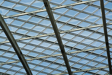 Glass Roof and Curtain of Greenhouse with Sunlight