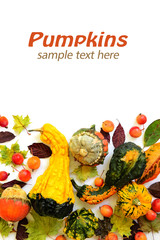 Pumpkins with fall leaves and paradise apples over white background. Top view.