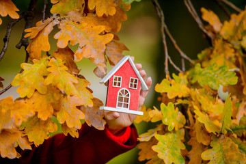 female hand holding house toy near oak branch in autumn season park