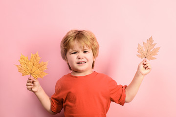 Funny child playing with autumn yellow leaves. Child holds leaves an autumns day. Sunny autumn...