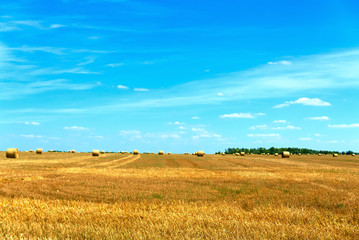 A field of harvested wheat with rolls of harvested hay.