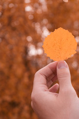 hand with autumn leaf 2