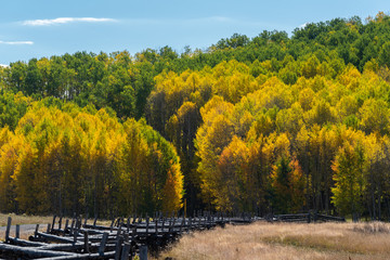 The San Juan Mountains of Colorado in Autumn
