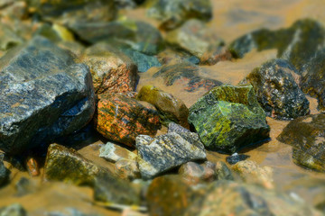 Piedras de colores y arena mojada a la orilla del mar