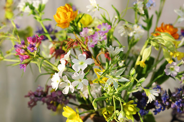 A beautiful still-life with wildflowers. Pastel colors, selective focus. The concept of a holiday. March 8, Mother's Day, World Environment Day. Selective focus, copy space.