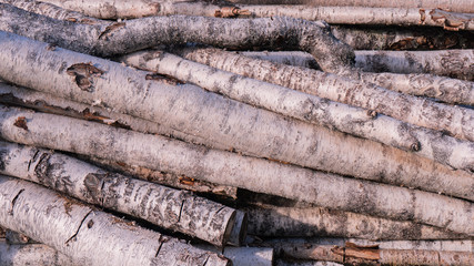 firewood from birch