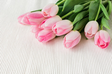 Pink tulips on white tablecloth. Copy space, top view