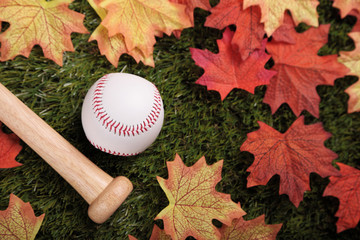 Baseball and bat on grass next to some fallen autumn maple leaves (focus on ball)