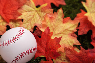 Baseball on grass next to some fallen autumn maple leaves (focus on ball)
