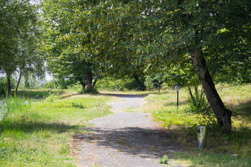 Sunset Or Sunrise In Forest Landscape. Sun Sunshine With Natural Sunlight And Sun Rays Through Woods Trees In Summer Forest. Beautiful Scenic View.