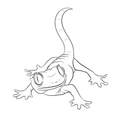 Naklejka premium Mała jaszczurka domowa - gekon. Znany również jako gekko, gekkon. Szczegółowy realistyczny rysunek odręczny. Czarno-biały obraz binarny monochromatyczny. Grafika liniowa.