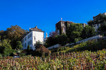 Fototapeta na wymiar Vineyard of Montmartre in Paris with Sacre coeur view and french flag