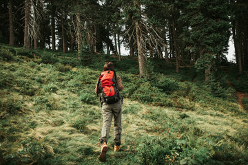 Fototapeta premium Exploring nature. Full length back view portrait of confident girl with backpack making her way to coniferous forest