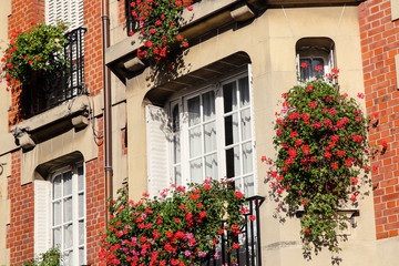 Fototapeta na wymiar Montmartre house with flower