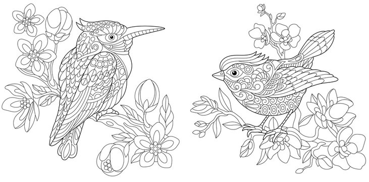 Coloring pages with kingfisher and canary bird