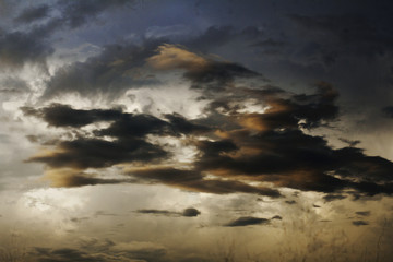 Fototapeta premium Photograph