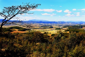 和寒町の田園地帯の俯瞰