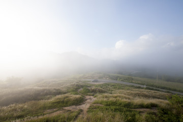 Landscape nature of meadows in the mountains with fog in the morning at Khao Phu Don Rayong Thailand.