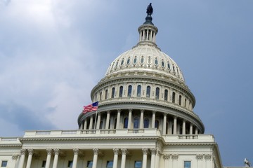 Fototapeta premium united states capitol building in washington dc