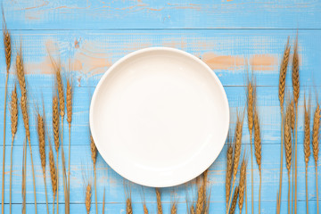 blank white dish and Wheat ears grain on blue wooden background. World Food Day Concept (October 16), Top view and Copy space for your text