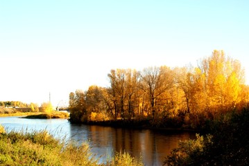 river Bank autumn Golden Russia