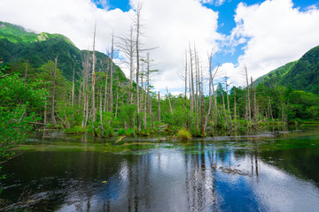 Obraz premium 上高地 