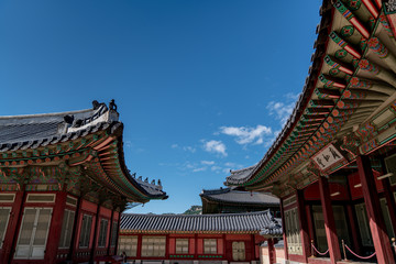 Fototapeta na wymiar The Korea traditional architecture have a beauty of both colorful and curve under blue and high sky in autumn. Here is Gyeongbokgung Palace where is one of the famous places to tourist who visit Korea
