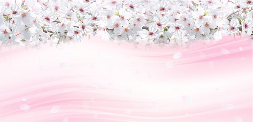 桜の背景（白と薄いピンクのイメージ）
