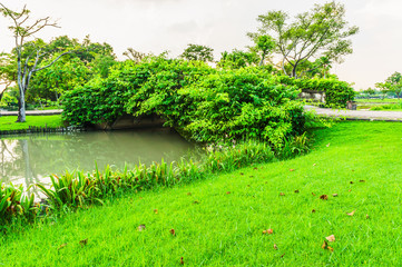 Landscape of forest bridge and canal are city park. This are blue sky time and grass on foreground...