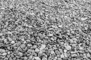 Black & white, sea pebble from beach. For background stones or floor texture.