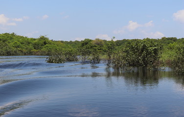 Black river in Amazonas, Brazil. A giant river it seems a sea. Used to fish, navigate, play, feed local people who live on the coastline. The river has black colour due to algae decomposition