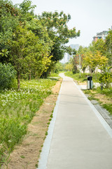 well paved walk path inside park in urban area with trees on both sides