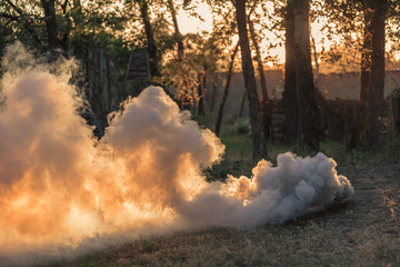 Smoke grenade explosion - obrazy, fototapety, plakaty