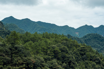 forest covered valley floor covered in blue haze at mount sanqing