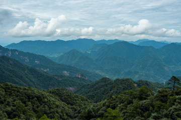 Fototapeta premium forest covered valley floor covered in blue haze at mount sanqing