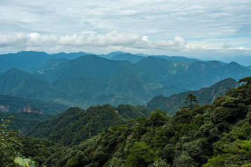 Fototapeta premium forest covered valley floor covered in blue haze at mount sanqing