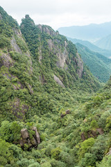 valley floor at mount sanqing covered in forest on a foggy day