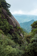 valley floor at mount sanqing covered in forest on a foggy day