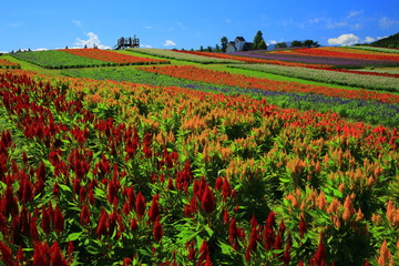 宮城県　やくらいガーデン