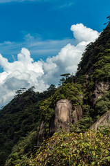 beautiful thick cloud behind forest covered mountain slope under blue sky