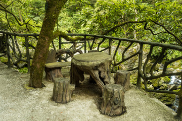 table and stool made out of roots on the edge of the walkway inside park near the guard rail