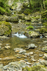Naklejka na ściany i meble water in the stream rushing down the rocky creek covered in green