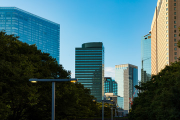 (東京都ｰ都市風景)西新宿のビル群と街灯２